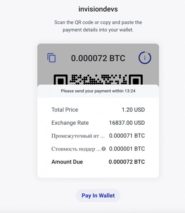 BitPay payment info