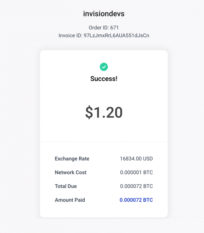 BitPay success payment